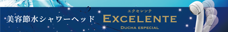 エクセレンテ -Duchae special-